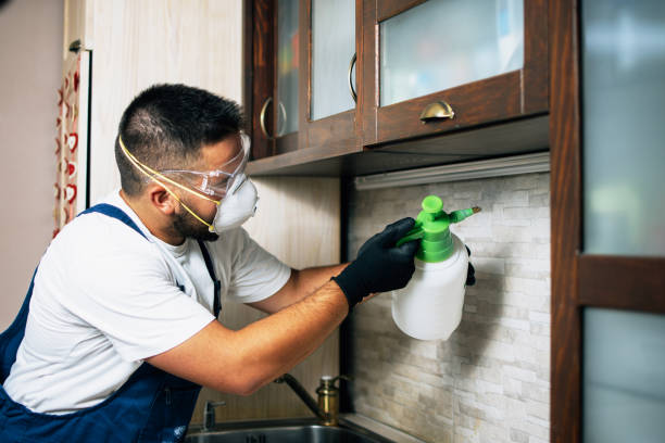 Best Affordable Pest Control Services  in Iola, KS