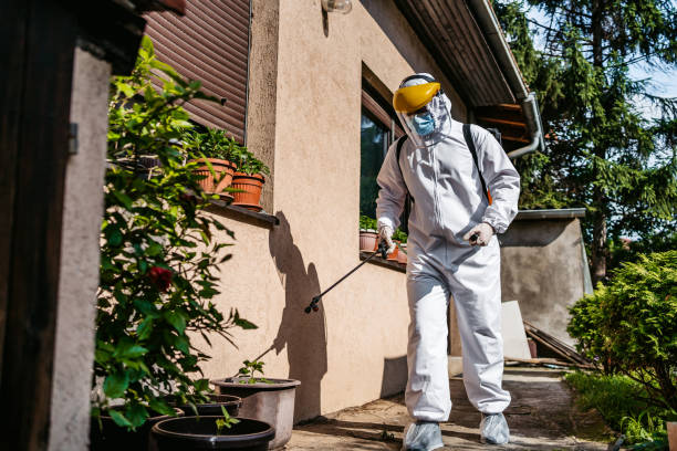 Best Best Pest Control Companies  in Iola, KS