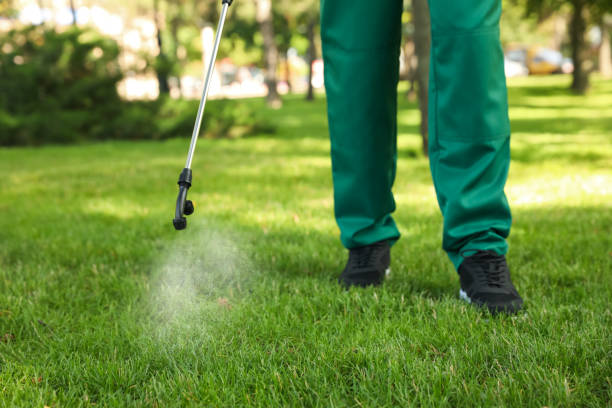 Best Ant Control Services  in Iola, KS
