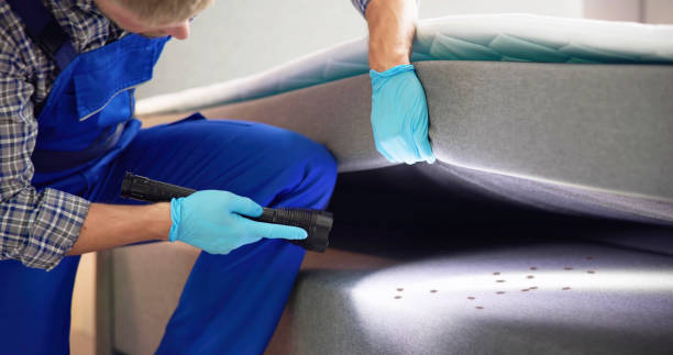 Best Termite Control Services  in Iola, KS