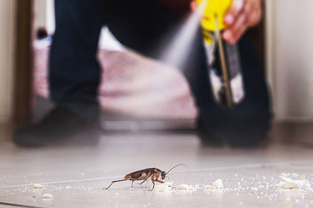 Best Pest Removal Services  in Iola, KS