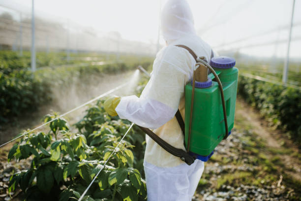 Best Residential Pest Control  in Iola, KS